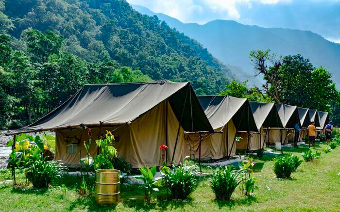 Camp Panther- Camping in Rishikesh