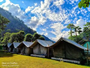 Camp Green Forest - camping in Rishikesh