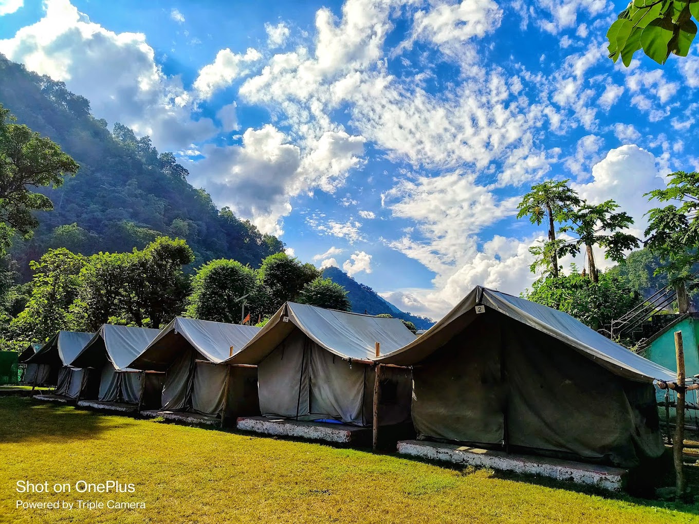 Camp Green Forest- Camping in Rishikesh