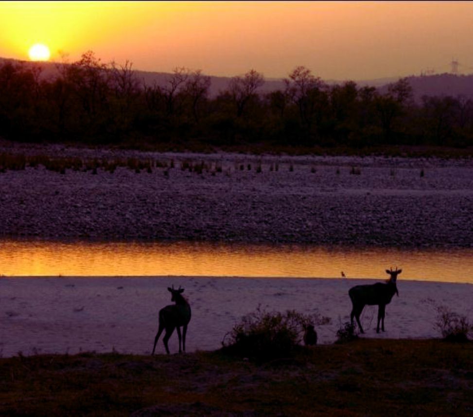 Rajaji National Park Viewpoints- Sunrise and Sunset Points in Rishikesh