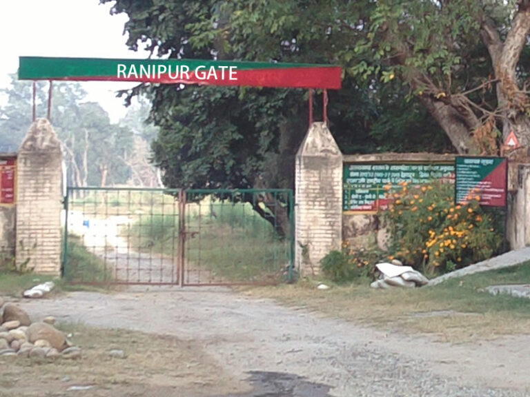 Ranipur Range- Jungle Safari in Rishikesh - Skyard Hostels Blog