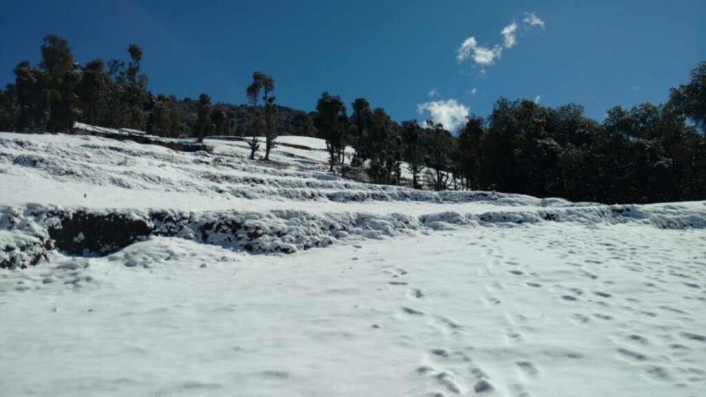 Nag Tibba Trek- Trekking in Rishikesh